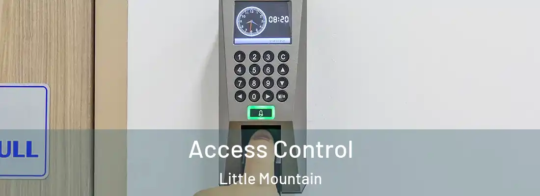 Access Control Little Mountain